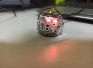 Ozobot evo - nasz nowy przyjaciel