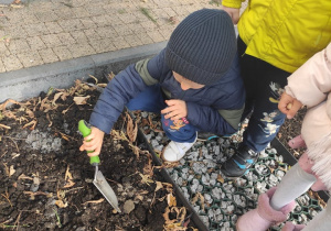 Przygotowanie terenu pod sadzenie cebulek - dziecko 1