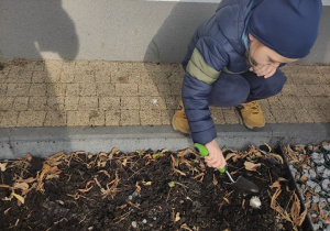 Przygotowanie terenu pod sadzenie cebulek - dziecko 2