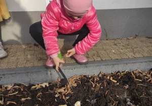 Przygotowanie terenu pod sadzenie cebulek - dziecko 3