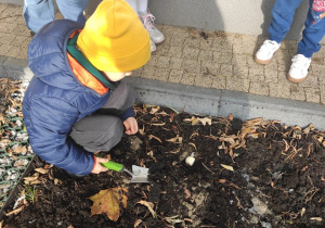 Przygotowanie terenu pod sadzenie cebulek - dziecko 5