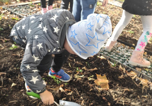 Przygotowanie terenu pod sadzenie cebulek - dziecko 6