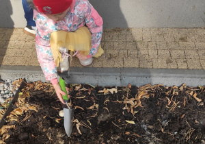 Przygotowanie terenu pod sadzenie cebulek - dziecko 9
