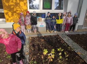 Jesienne porządki grządki - Koty