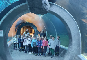 Tunel w Zoo