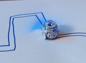 Ozobot w Żabach