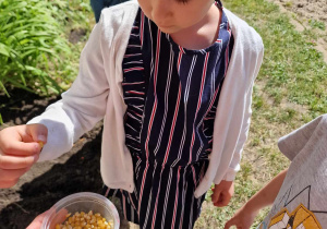 "Popcorn prosto z ogródka" - Kasia