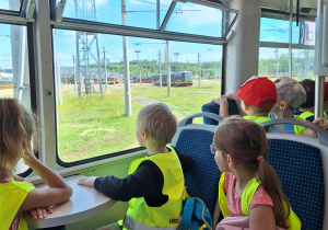 Zające podczas podróży tramwajem