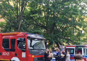 Piknik Rodzinny - Straż Pożarna, Policja i Pogotowie