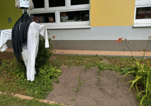 Hodowla kukurydzy Grupy Sówek