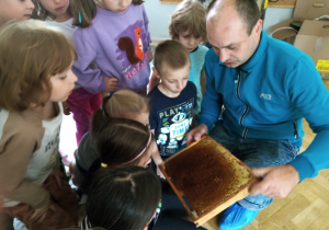 Żaby podczas Warsztatów Pszczelarskich