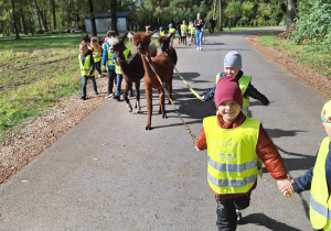 Spacer z alpakami - grupa Zające