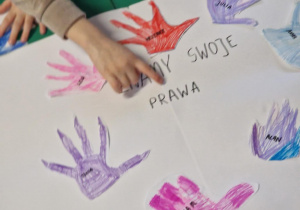 "Mamy swoje prawa" - Sowy