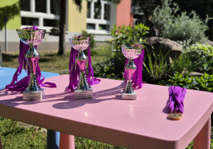 Wiosenny Turniej Sportowy - puchary i medale