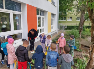 Sówki na grządce