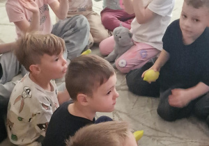 Bergamutka u Sówek