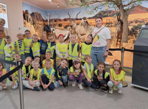 Zające z wizytą w Muzeum Przyrodniczym