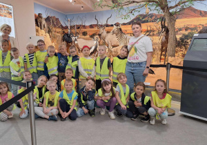 Zające z wizytą w Muzeum Przyrodniczym