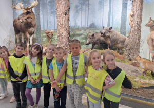 Dzieci z grupy "Zające" w Muzeum Przyrodniczym