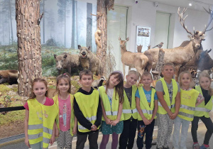 Grupa Zajączków w Muzeum Przyrodniczym