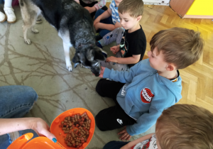 Dogoterapia w grupie "Sowy"