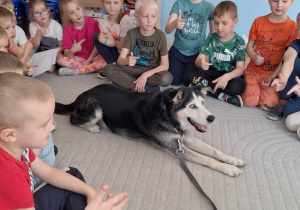 Dogoterapia u Zajączków