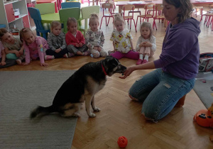 Dogoterapia w Kotkach