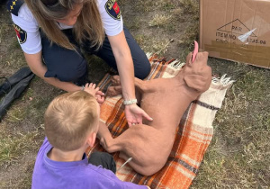 Piknik Rodzinny - spotkanie ze strażą miejską