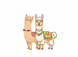 lama