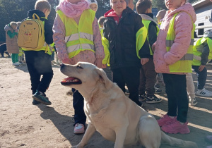 Dzieci stoją a przy nich duży pies