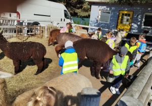 Uśmiechnięte dzieci pośród alpak