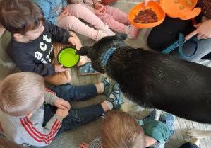 Dzieci karmią smakołykiem psa.