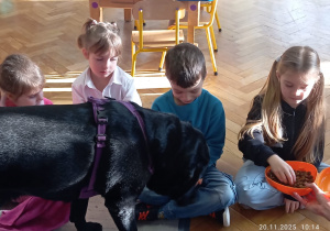 Dzieci karmią smakołykami psa.