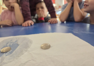 Na ręczniku papierowym leży kropla wody oraz moneta, dzieci obserwują doświadczenie.