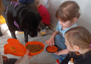Dzieci karmią psa i uczą się opieki.