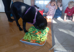 Pies szuka smakołyków na macie, dzieci obserwują.