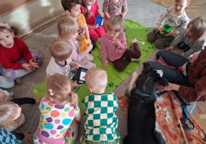 Grupa dzieci siedzi wokół psa na macie.